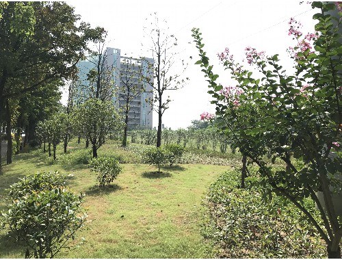 boyu博鱼中国官方网站：仪征绿化和市容工程站