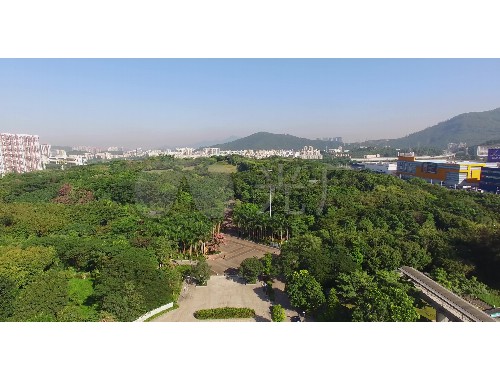 博鱼官方网站：富阳城市绿化常用苗木标准