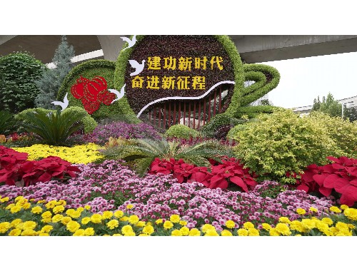 博鱼boyu体育官方平台：安达市政绿化招聘