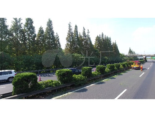 boyu博鱼中国官方网站：新中道路绿化工程