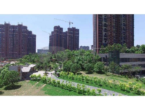 博鱼中国官网：咸宁城市绿化条例实施办法