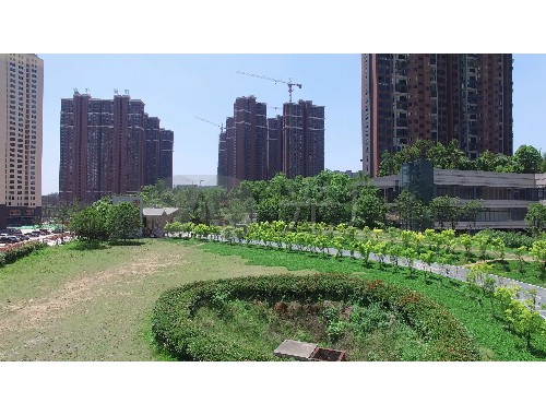 博鱼中国官网：园林绿化工程工程类别划分