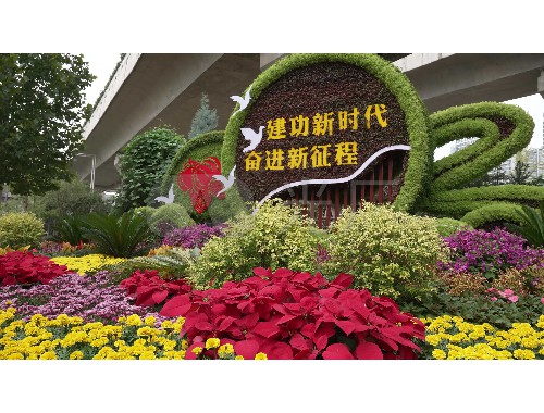 boyu博鱼中国官方网站：信丰高铁新区绿化工程