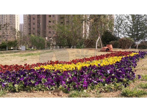 博鱼官方网站：园林绿化工程施工资质标准