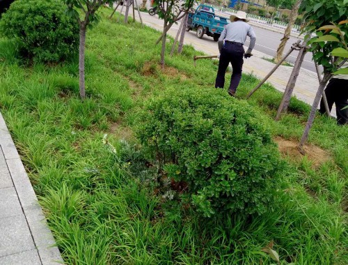 boyu博鱼中国官方网站：永州经开区绿化工程招标