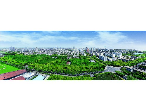 boyu博鱼中国官方网站：徐州山林绿化工程招标信息