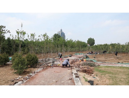 博鱼boyu官方网站：象山绿化工程咨询公司电话