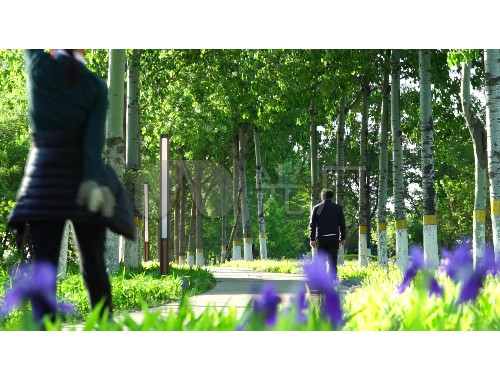 博鱼boyu：宣威景观绿化工程公司