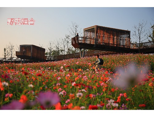 boyu博鱼中国官方网站：新乡县平和府绿化工程