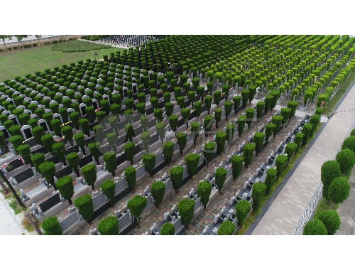 boyu博鱼中国官方网站：云岗峪绿化工程施工队