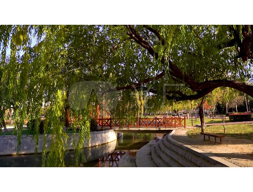 博鱼boyu体育官方平台：亚洲城市绿化率排行榜最新